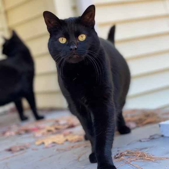 Meet your Posher, Jen - Picture 11 of 14